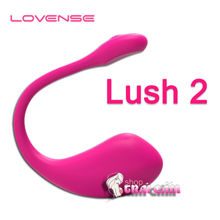 Đồ chơi tình dục